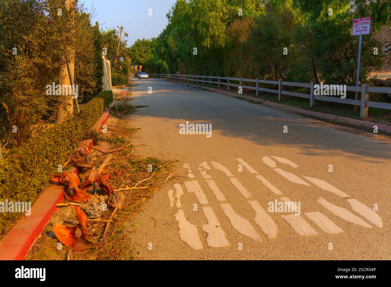 Los Angeles, Kalifornien - 9. Januar 2025: Straße in der Nähe des Runyon Canyon mit einem verblassten „STOPP“ markiert, umgeben von gebrochenen Ästen, unter einem rauchigen Himmel von n Stockfoto