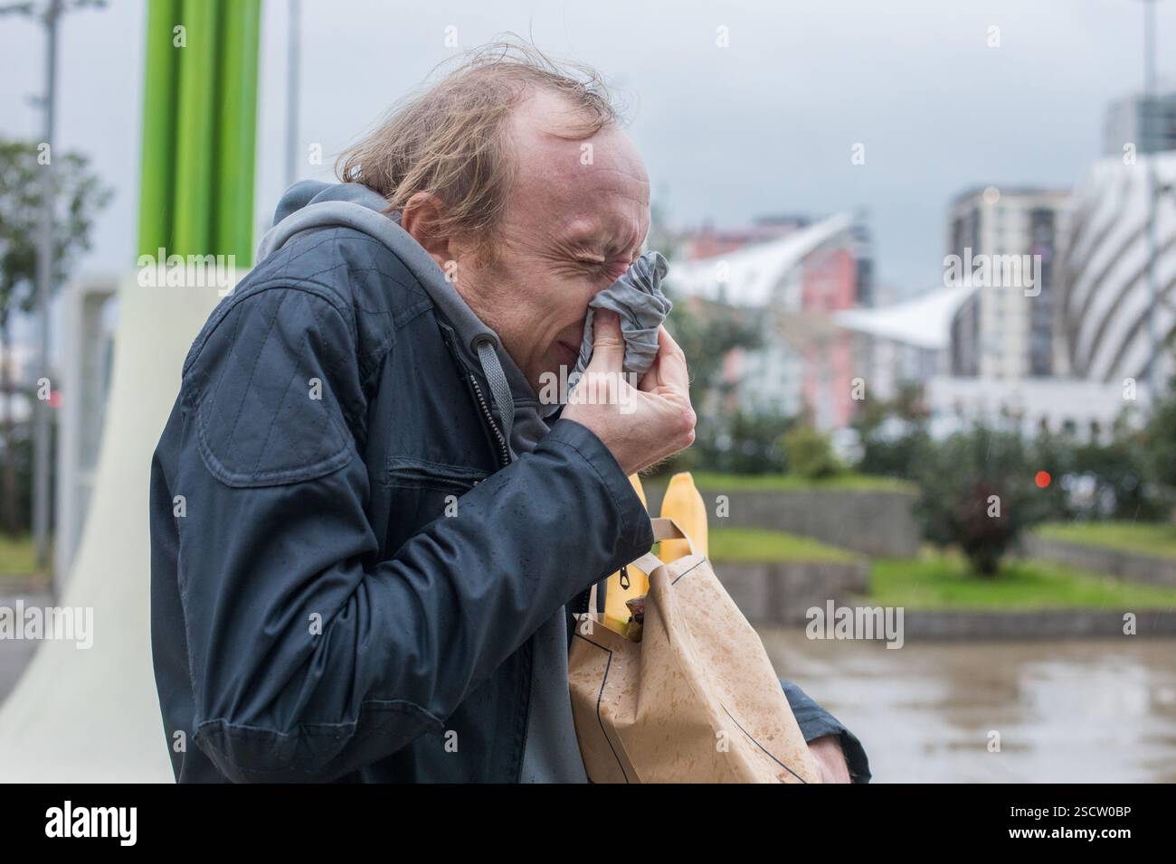 Ein Erwachsener niest in ein Gewebe. Saisonale Allergie, Erkältung und Grippe-Konzept Stockfoto