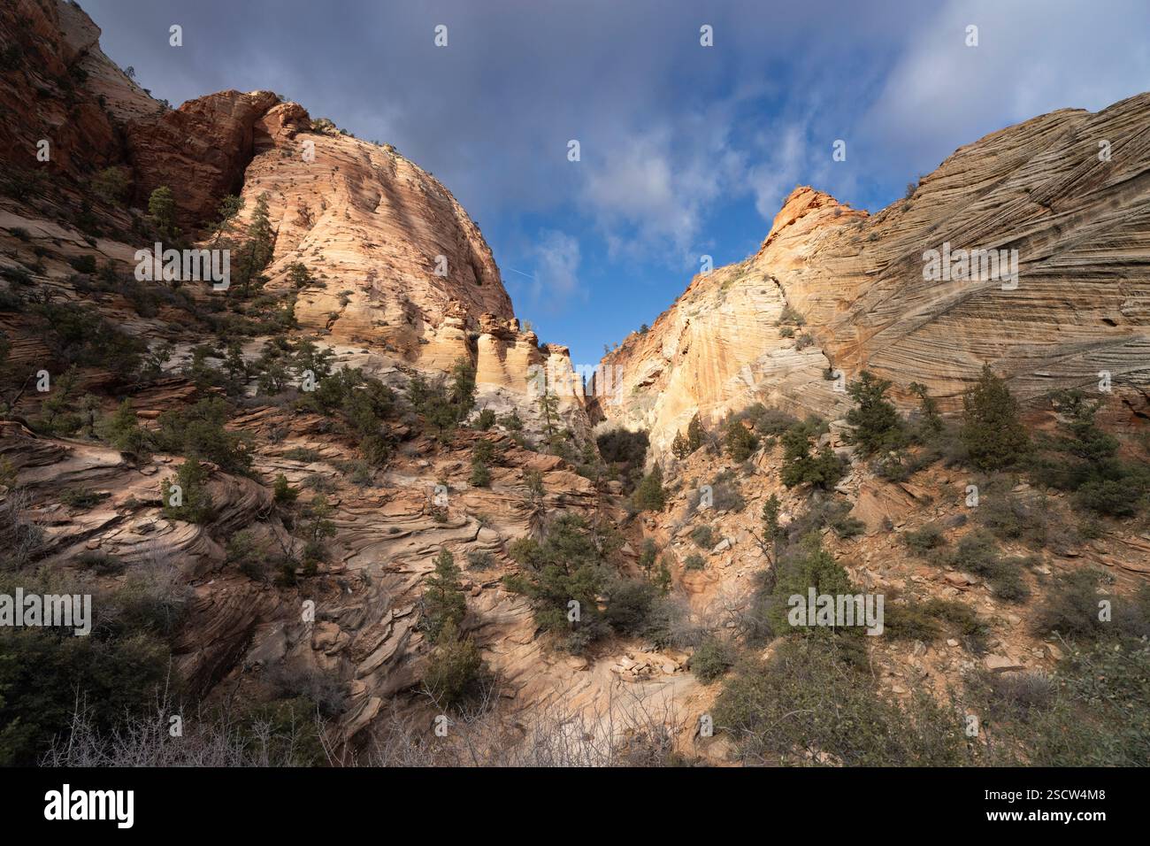 Zion-Nationalpark, Utah. Blick auf den Virgin River Canyon mit geschichteten Sandsteinformationen. Kunstfertigkeit der Natur. Stockfoto