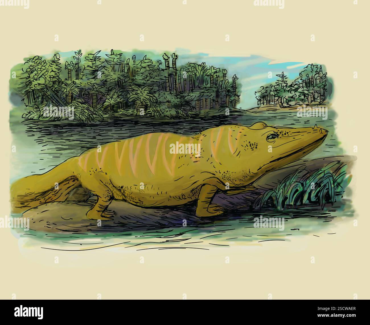Mastodonsaurus giganteus ist ein ausgestorbener Amphibien aus der Mitteltrias-Zeit (vor 247,2 bis 237 Millionen Jahren). Eine Capitosauria aus der Ordnung der Temnospondylen, sie lebte hauptsächlich im Wasser und ernährte sich von Fischen. Mit einer Länge von bis zu 6 Metern waren sie eine der größten Amphibien, die es je gab. Stockfoto