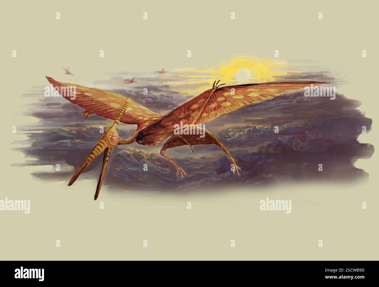 Pterodactyl ist ein informeller Begriff für Pterosaur, ein ausgestorbenes fliegendes Reptil, das während der späten Trias (vor 228 Millionen Jahren) bis zum Ende der Kreidezeit (vor 66 Millionen Jahren) lebte. Pterosaurier waren die frühesten bekannten fliegenden Wirbeltiere. Die meisten Pterosaurier waren an der Oberfläche fressende Piszivore, einige könnten jedoch Landfleischfresser, Allfresser und Insektenfresser gewesen sein. Stockfoto