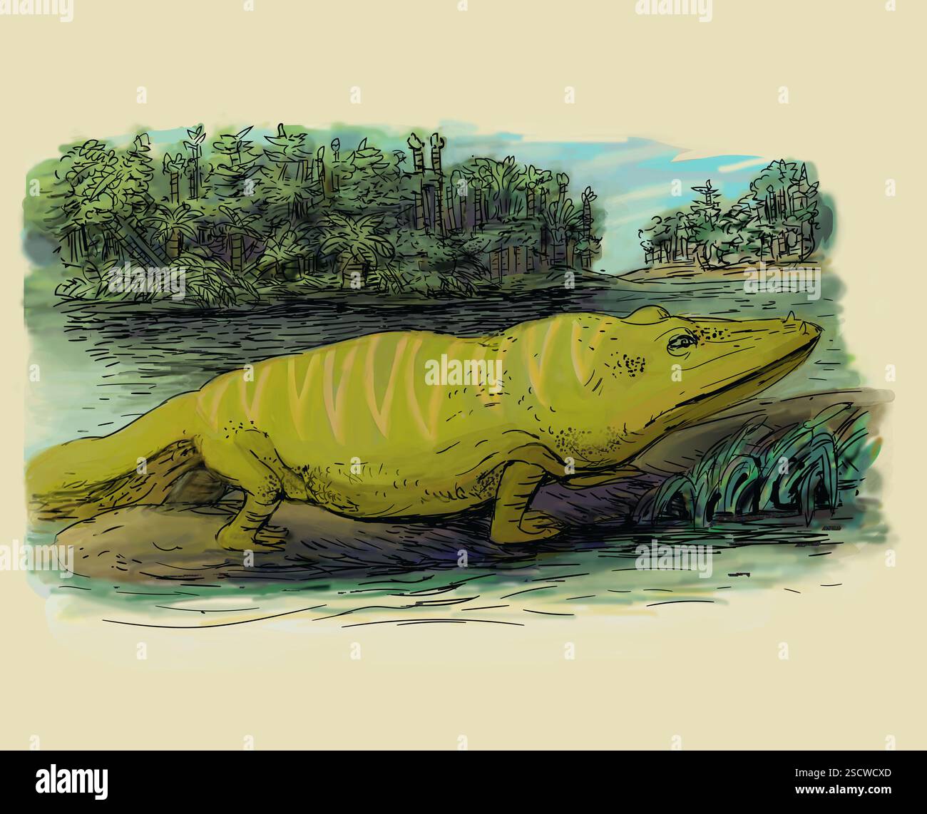 Mastodonsaurus giganteus ist ein ausgestorbener Amphibien aus der Mitteltrias-Zeit (vor 247,2 bis 237 Millionen Jahren). Eine Capitosauria aus der Ordnung der Temnospondylen, sie lebte hauptsächlich im Wasser und ernährte sich von Fischen. Mit einer Länge von bis zu 6 Metern waren sie eine der größten Amphibien, die es je gab. Stockfoto