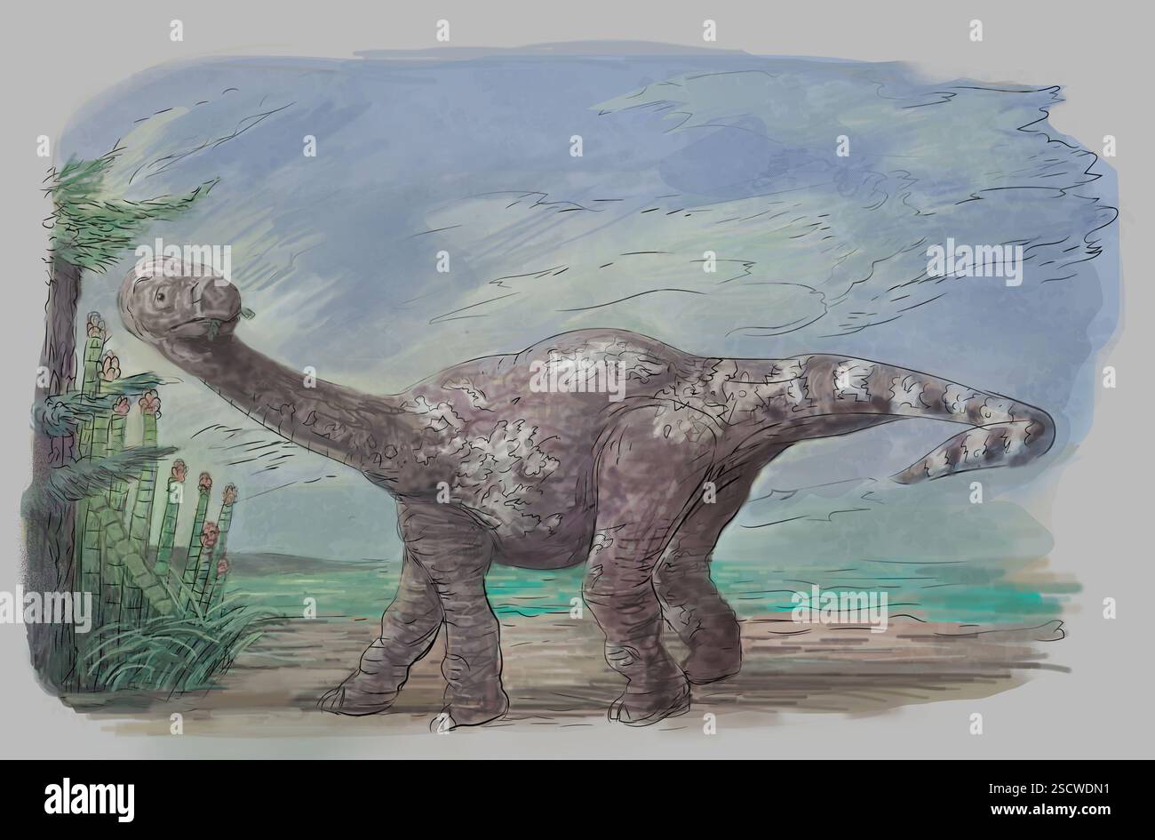 Isanosaurus oder „Nordost-Thailand-Eidechse“ ist eine Gattung von Sauropoden-Dinosaurier. Obwohl es noch diskutiert wird, wurde der Isanosaurus ursprünglich vor 210 Millionen Jahren in der späten Trias datiert, was ihn zu einem der ältesten bekannten Sauropoden macht. Sauropoden waren vierbeinige Dinosaurier, die sich durch ihren langen Hals, kleine Köpfe und lange Geschichten auszeichneten. Isanosaurus war ein Pflanzenfresser mit einer Länge von etwa 6,5 Metern. Stockfoto