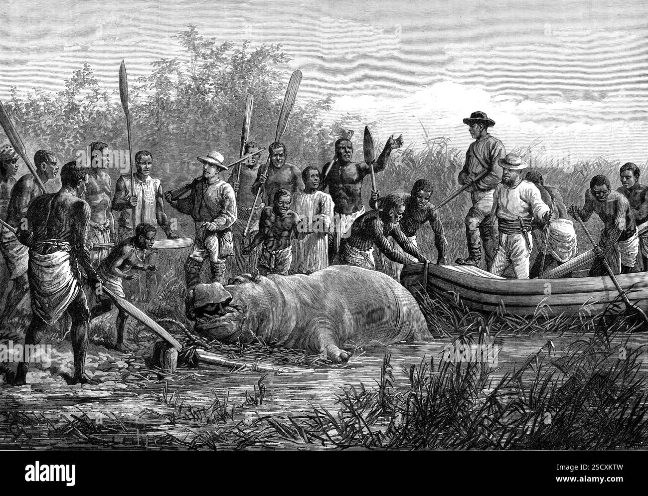 Nilpferdjagd in Angola, Westafrika, 1880. Der Mund der riesigen Bestie ist mit einer unglaublichen Auswahl an glänzenden Stoßzähnen und schräg abstehenden Schneidezähnen ausgestattet. Diese are...intended...for zerreißen und kauen Gras, Unkraut und Wasserpflanzen in den zentralafrikanischen Flüssen, im Nil oder im Kongo, überall von Nubien bis Angola oder an die Grenzen unseres kolonialen Kaffirlands. Der Reisende, der sein Kanu oder Boot in der Nacht zum Flussufer vertäut hat... wird sehr wahrscheinlich wach gehalten durch das turbulente Geräusch des Gurgelns und Schnarchens aus all den Gewässern, die über die Ebene fließen oder sich ausbreiten, für m Stockfoto Nilpferdjagd in Angola, Westafrika, 1880. Der Mund der riesigen Bestie ist mit einer unglaublichen Auswahl an glänzenden Stoßzähnen und schräg abstehenden Schneidezähnen ausgestattet. Diese are...intended...for zerreißen und kauen Gras, Unkraut und Wasserpflanzen in den zentralafrikanischen Flüssen, im Nil oder im Kongo, überall von Nubien bis Angola oder an die Grenzen unseres kolonialen Kaffirlands. Der Reisende, der sein Kanu oder Boot in der Nacht zum Flussufer vertäut hat... wird sehr wahrscheinlich wach gehalten durch das turbulente Geräusch des Gurgelns und Schnarchens aus all den Gewässern, die über die Ebene fließen oder sich ausbreiten, für m Stockfoto