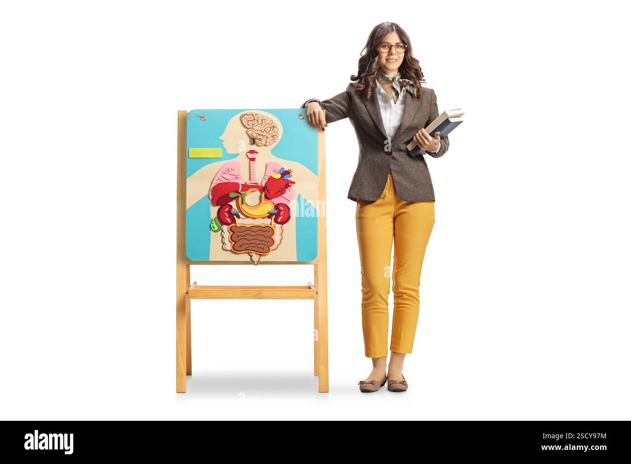 Porträt einer jungen Biologielehrerin auf einem Brett mit anatomischem Organplakat isoliert auf weißem Hintergrund Stockfoto