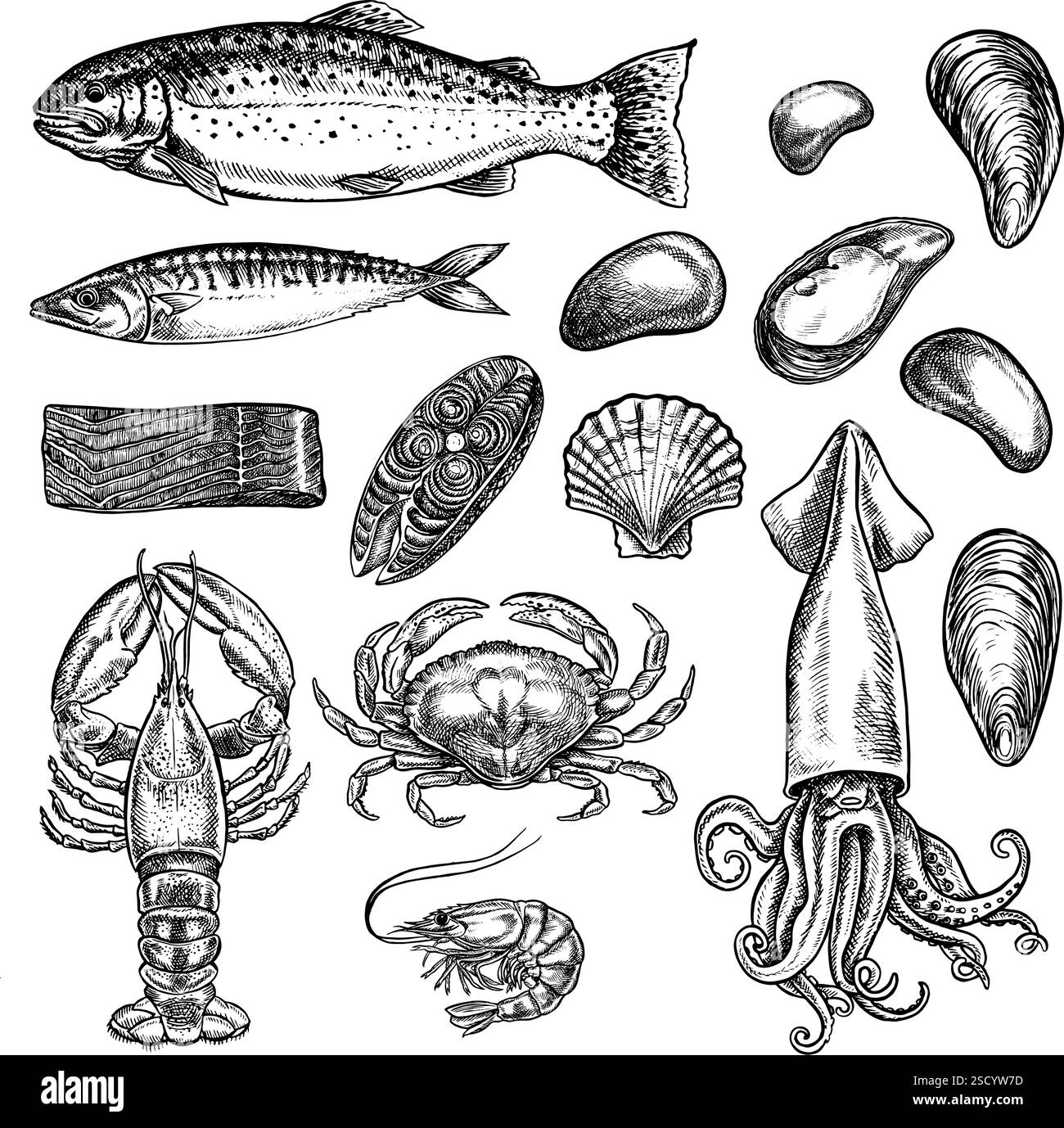 Fisch und Meeresfrüchte, Forelle, Makrelen und Tintenfische, Flusskrebse, Krabben und Garnelen, Muscheln und Meereselemente. Vektorgrafiken von Hand. Schwarz und Stock Vektor