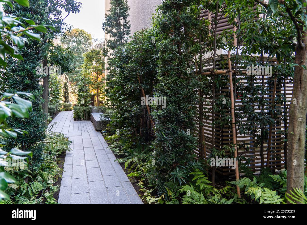 Der Tempel der lds in Tokio, Japan am 5. Januar 2025 Stockfoto