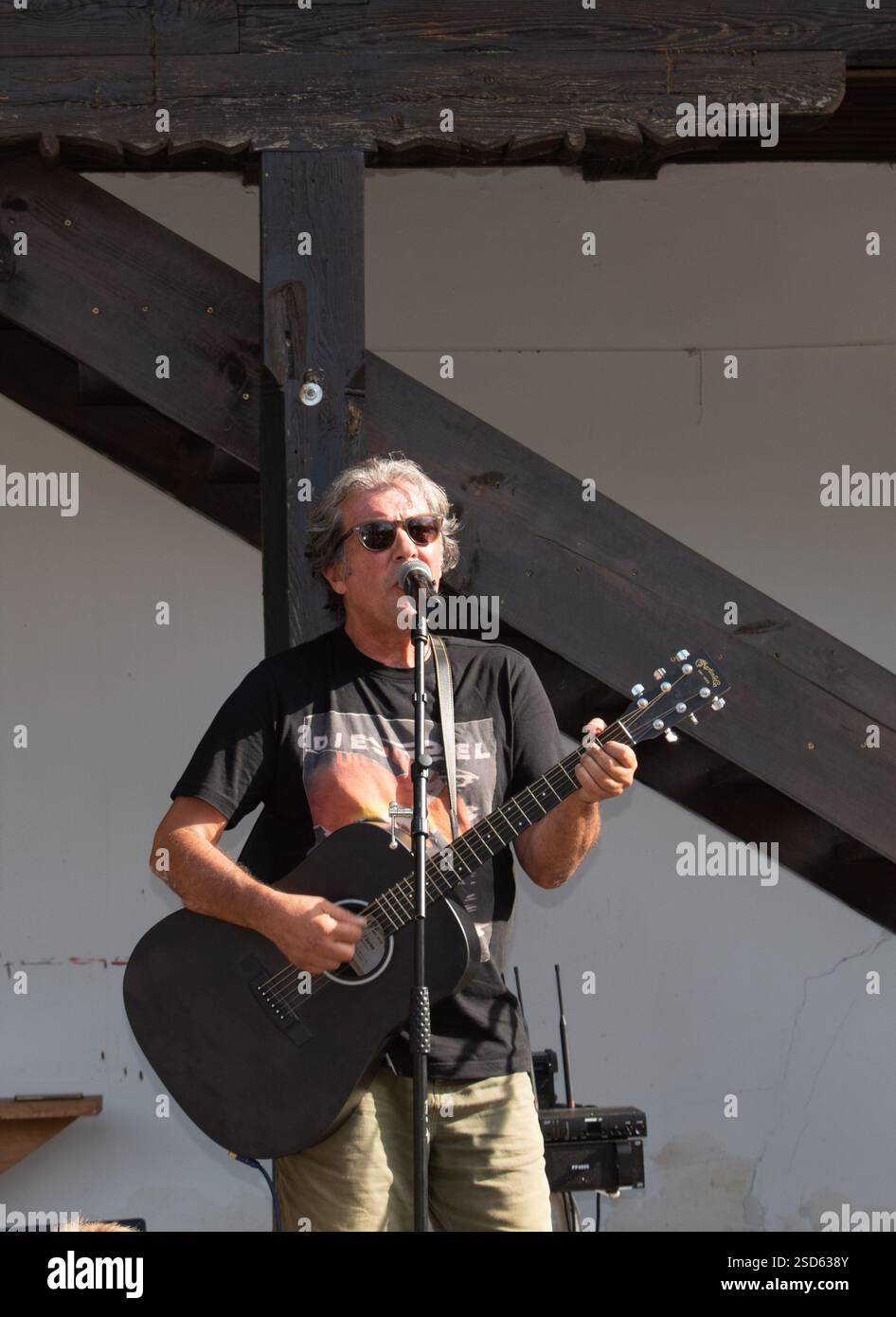 Der berühmte serbische Sänger Kiki Lesandric singt im Park Stockfoto