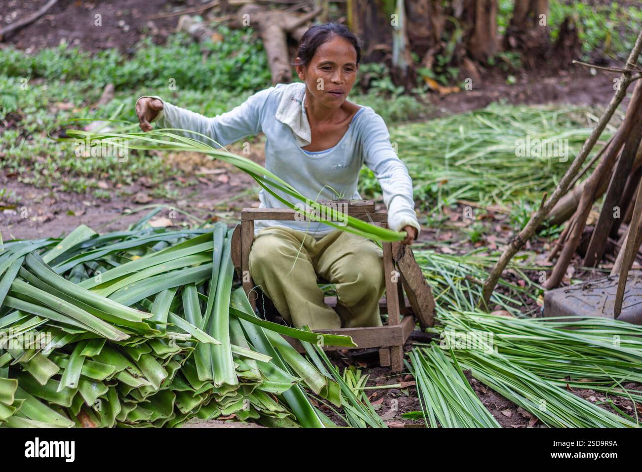 Eine Frau bereitet geschnittene Pandanusblätter vor, um sie in die Matten in Bohol auf den Philippinen zu weben, ein wichtiges traditionelles Handwerk, das den Lebensunterhalt der Gemeinschaft unterstützt Stockfoto