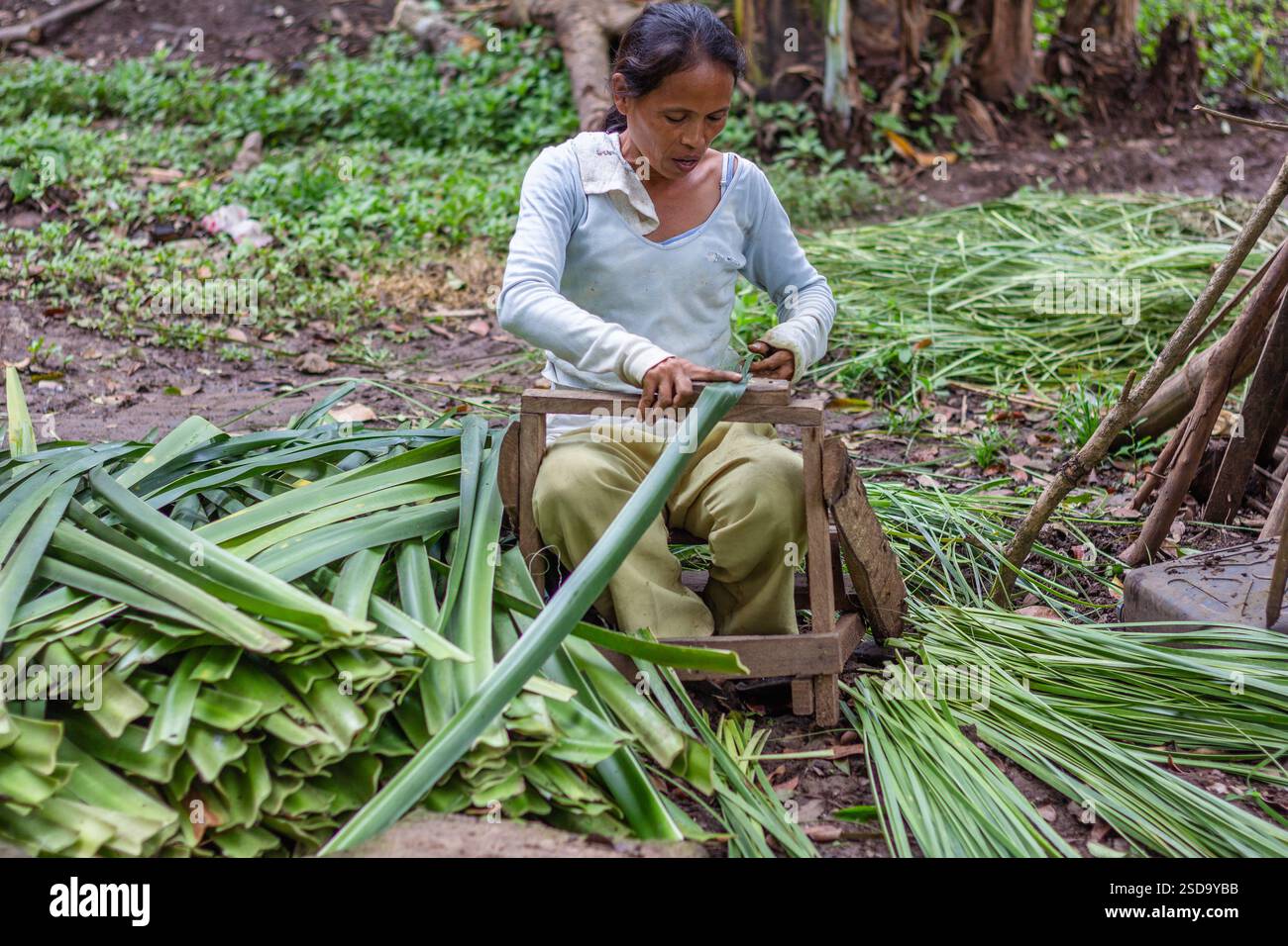Eine Frau bereitet geschnittene Pandanusblätter vor, um sie in die Matten in Bohol auf den Philippinen zu weben, ein wichtiges traditionelles Handwerk, das den Lebensunterhalt der Gemeinschaft unterstützt Stockfoto