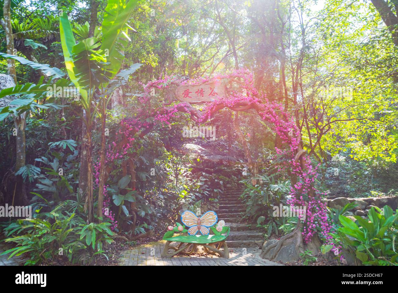 Eingang zum romantischen Garten mit Blumenbogen in einem tropischen Wald Stockfoto