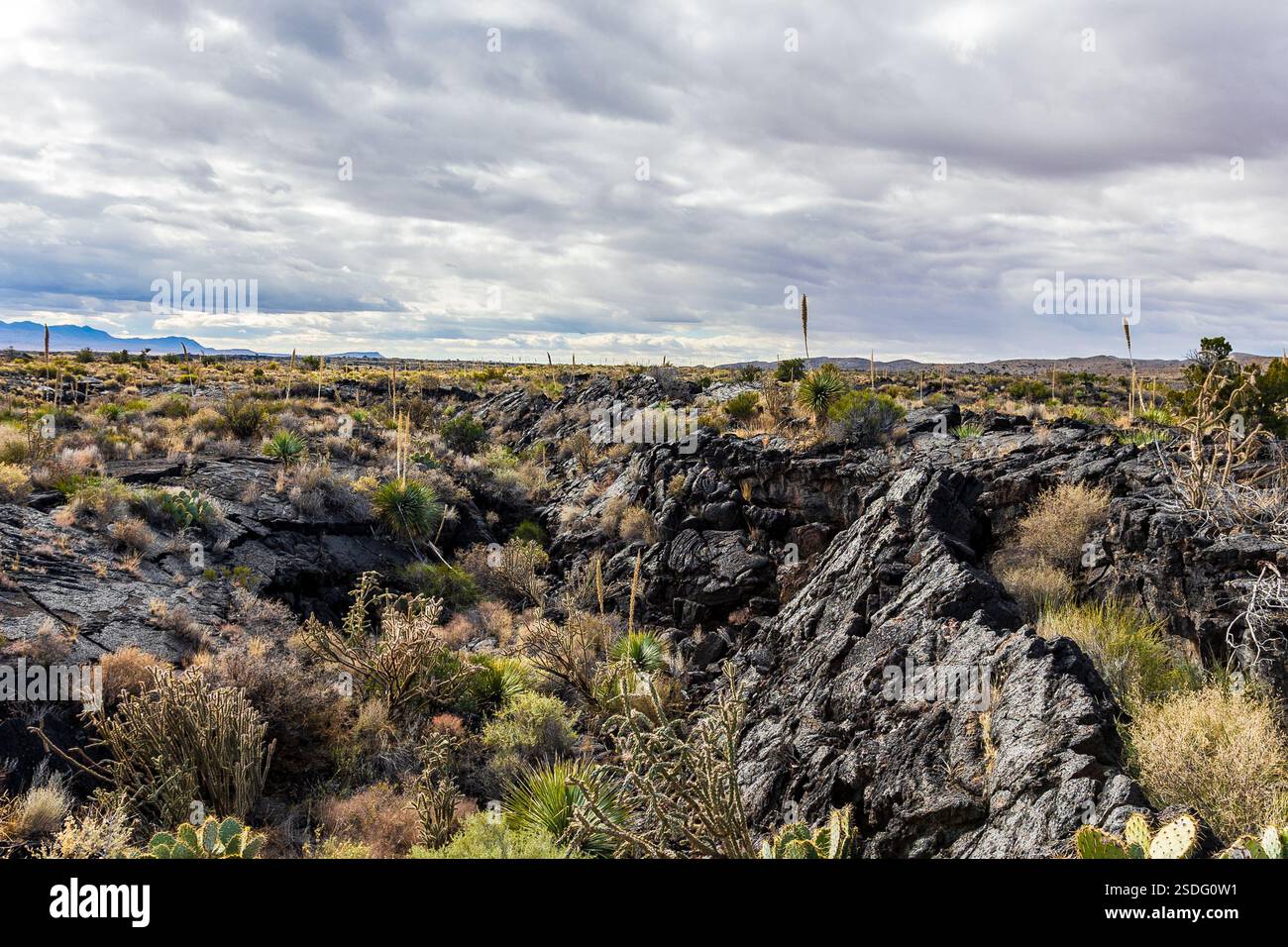Carrizozo Volcanic Field Scenic Area US-380, Carrizozo, NM 88301 Stockfoto