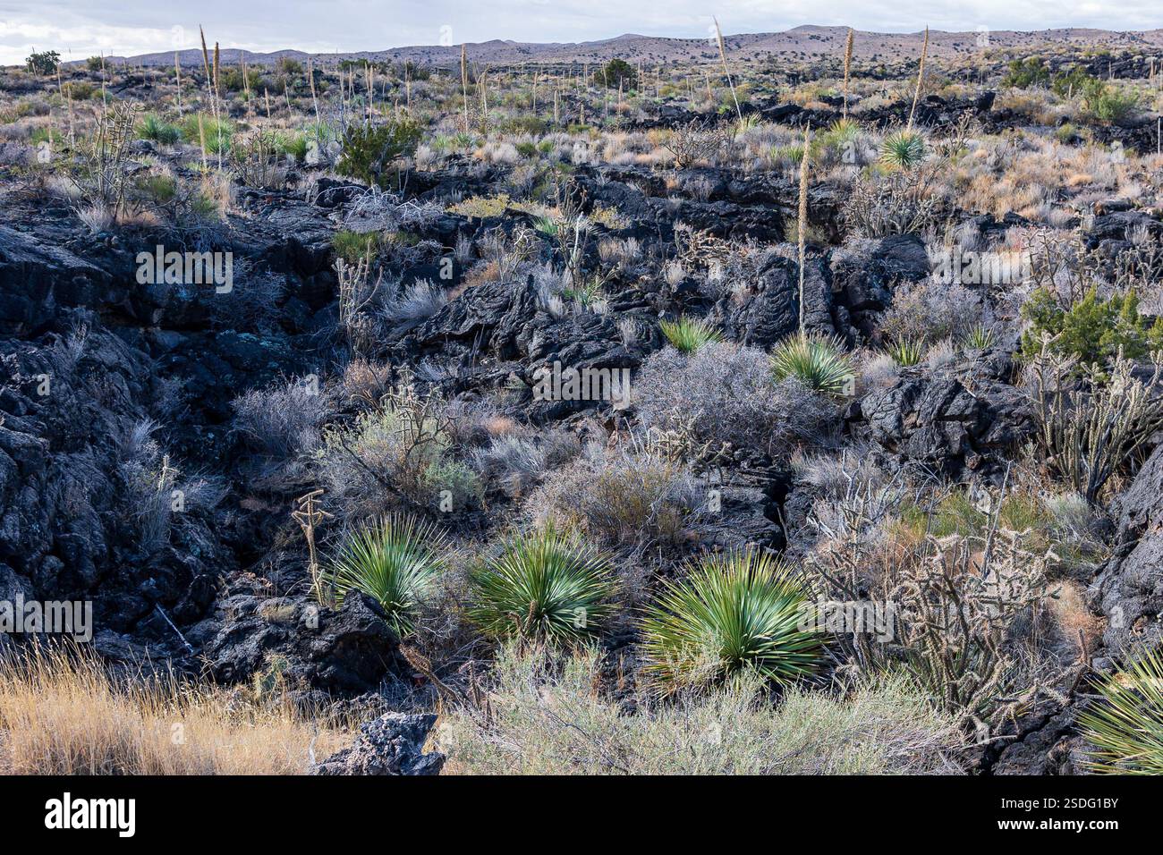 Carrizozo Volcanic Field Scenic Area US-380, Carrizozo, NM 88301 Stockfoto