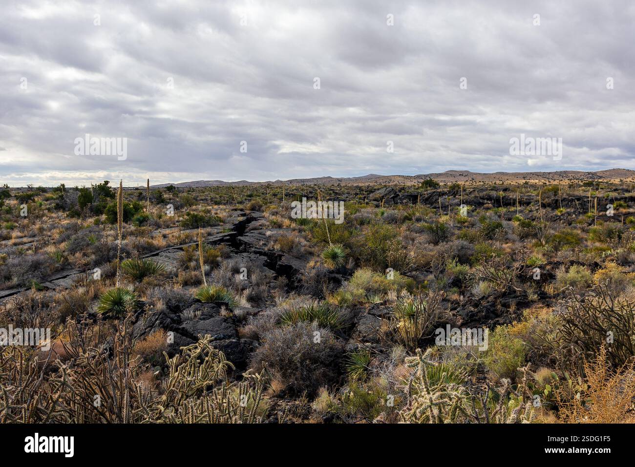 Carrizozo Volcanic Field Scenic Area US-380, Carrizozo, NM 88301 Stockfoto