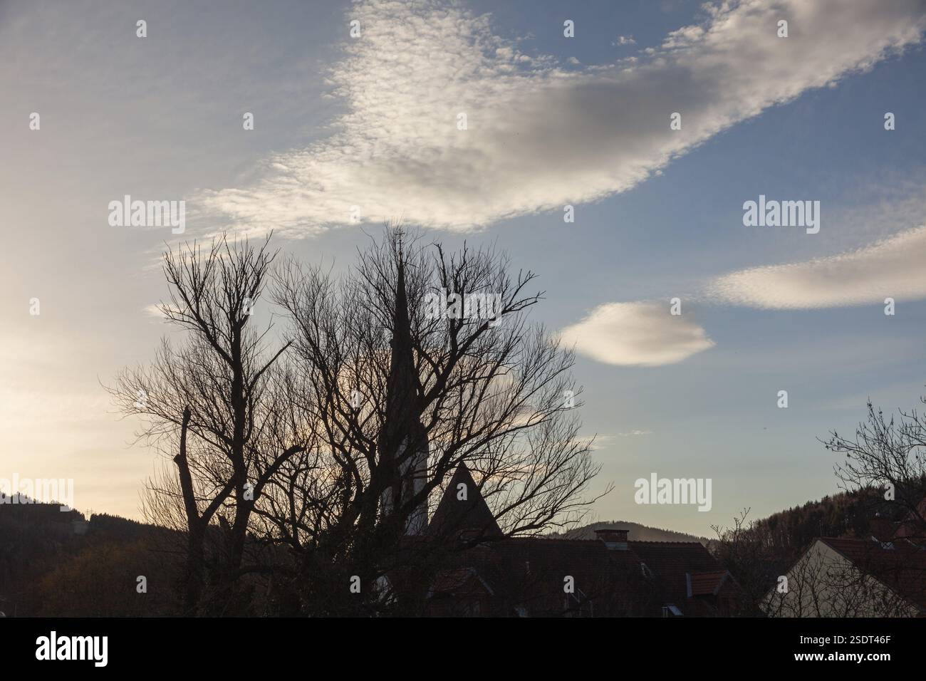 Trübe Stimmung über Kirchturm, karge Äste vor dem Turm der Waasenkirche, Leoben, Steiermark, Österreich, Europa Stockfoto
