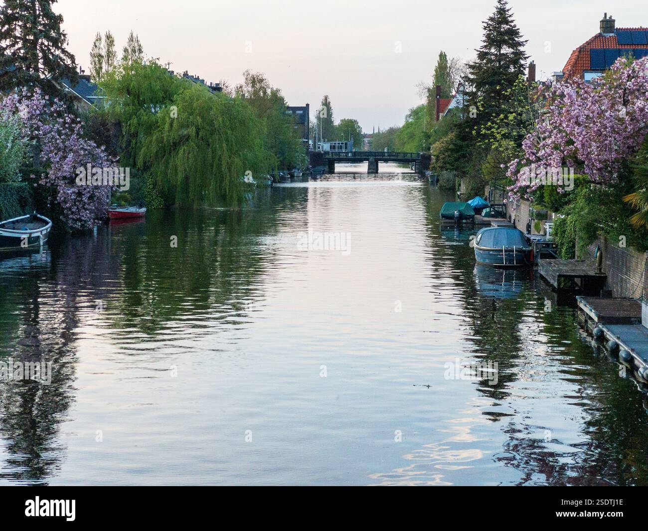Blick auf einen Wasserweg mit blühenden Bäumen und Booten auf beiden Seiten, nahe Amstedam im Frühjahr 2022 Stockfoto