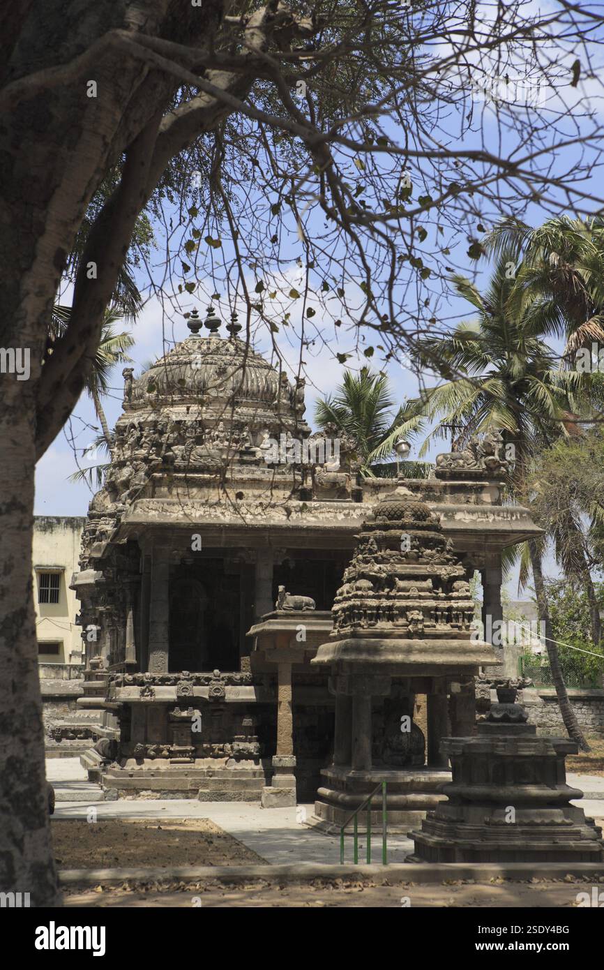 Swargeshwara-Tempel, Chola-Zeit, Bezirk Kanchipuram, Bundesstaat Tamil Nadu, Indien, Asien Stockfoto