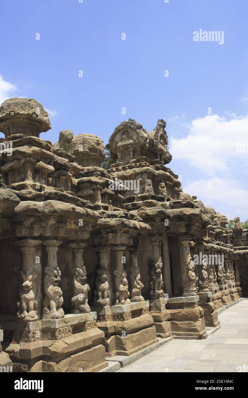 Kailasanatha Tempel, dravidische Tempelarchitektur, Pallavazeit (7. - 9. Jahrhundert), Bezirk Kanchipuram, Staat Tamil Nadu, Indien, Asien Stockfoto