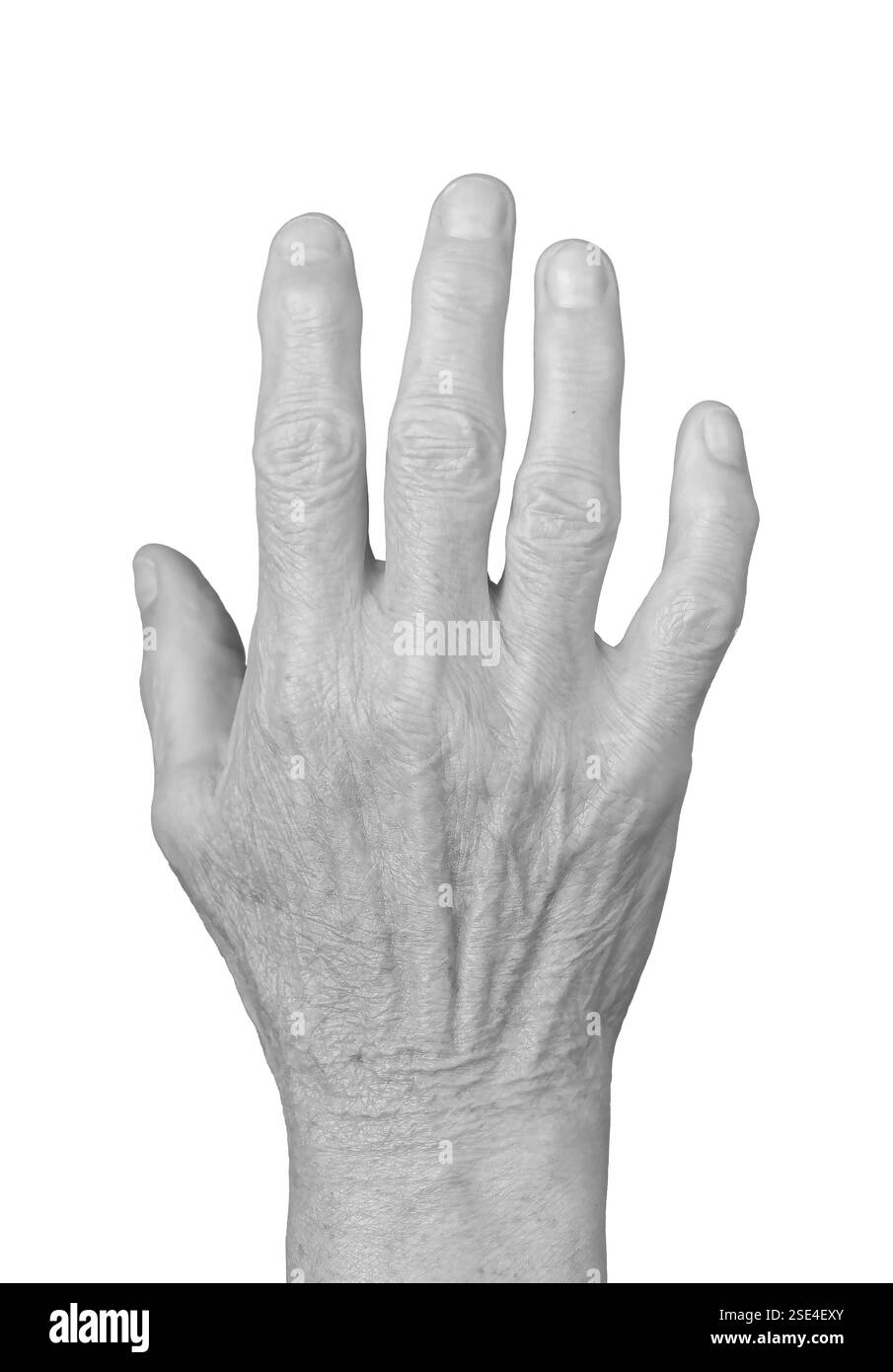 Ältere Hand mit faltiger Haut und sichtbaren Adern in einer offenen Geste, die Kommunikation, Gesundheit und Altern symbolisiert. Nahaufnahme der dorsalen Seite. Isoliert Stockfoto