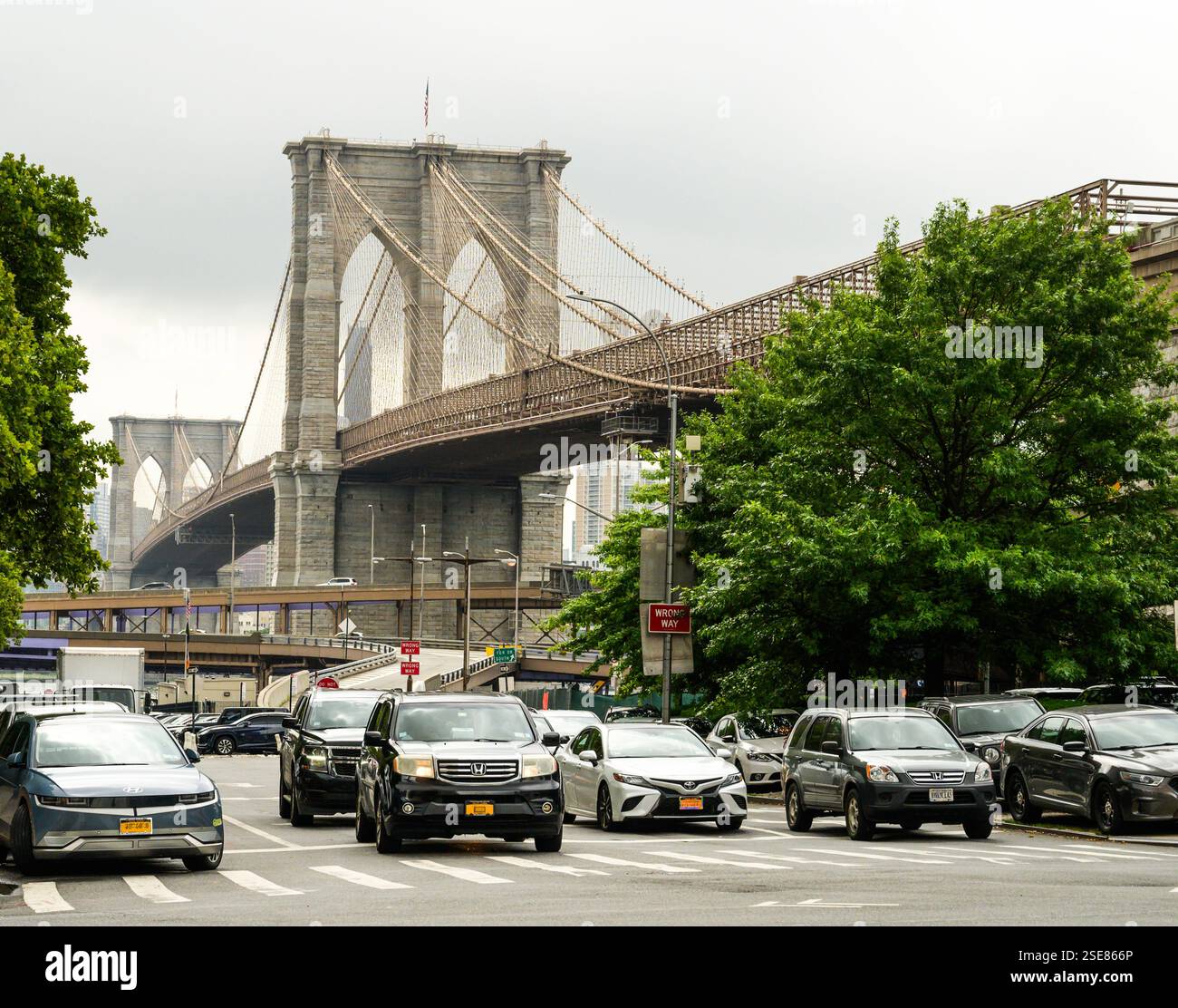 Die Brooklyn Bridge steht im Hintergrund, während der Verkehr entlang der belebten Straße fließt, umgeben von lebhaften grünen Bäumen unter einem bewölkten Himmel Stockfoto