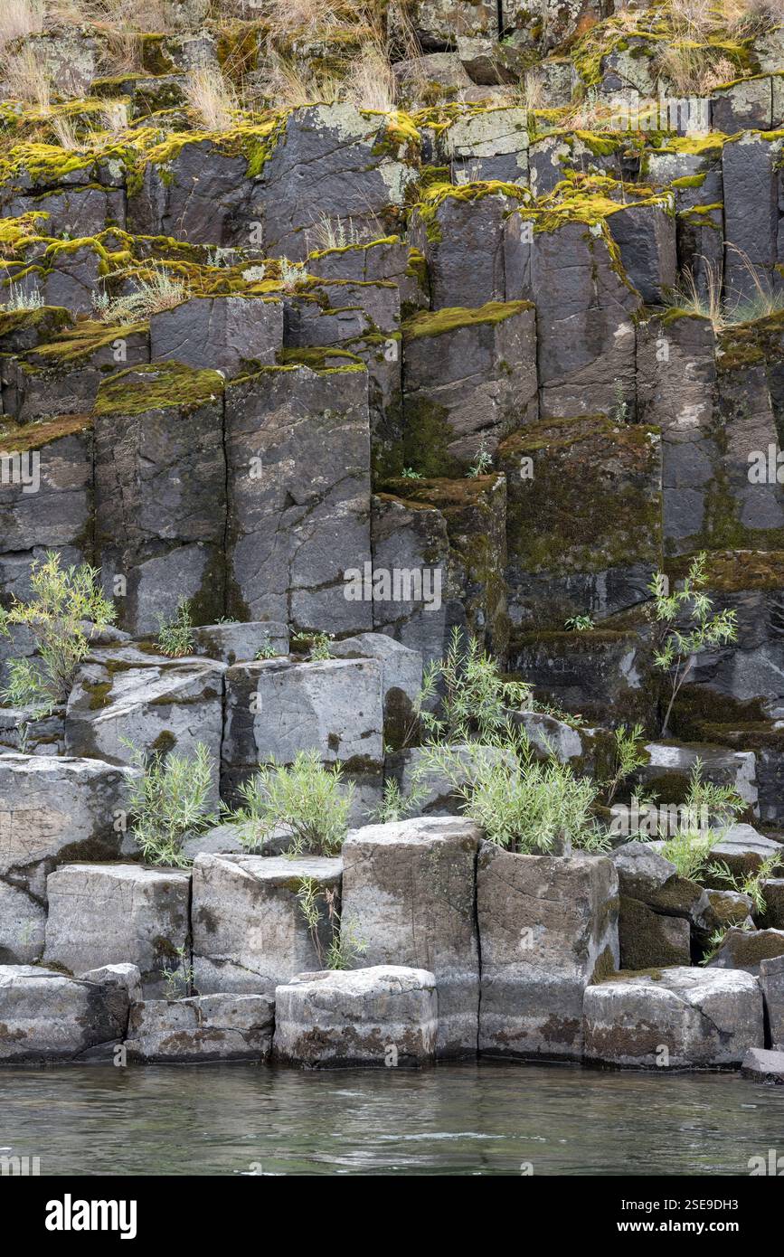 Säulenbasaltformation am Salmon River, Idaho. Stockfoto
