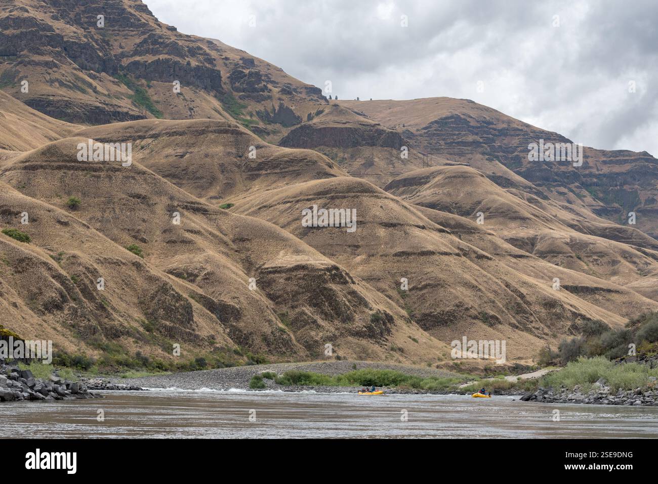 Rafting auf dem Lower Salmon River, Idaho. Stockfoto