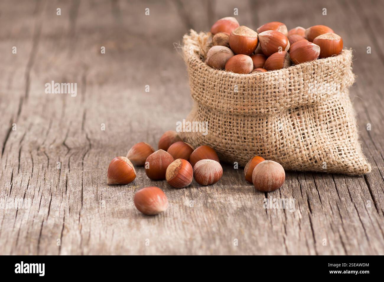 Haselnüsse, Filbert in Sackleinen auf rustikalem Holztisch. Haufen oder Stapel von Haselnüssen. Haselnuss Hintergrund, gesunde Nahrung Stockfoto