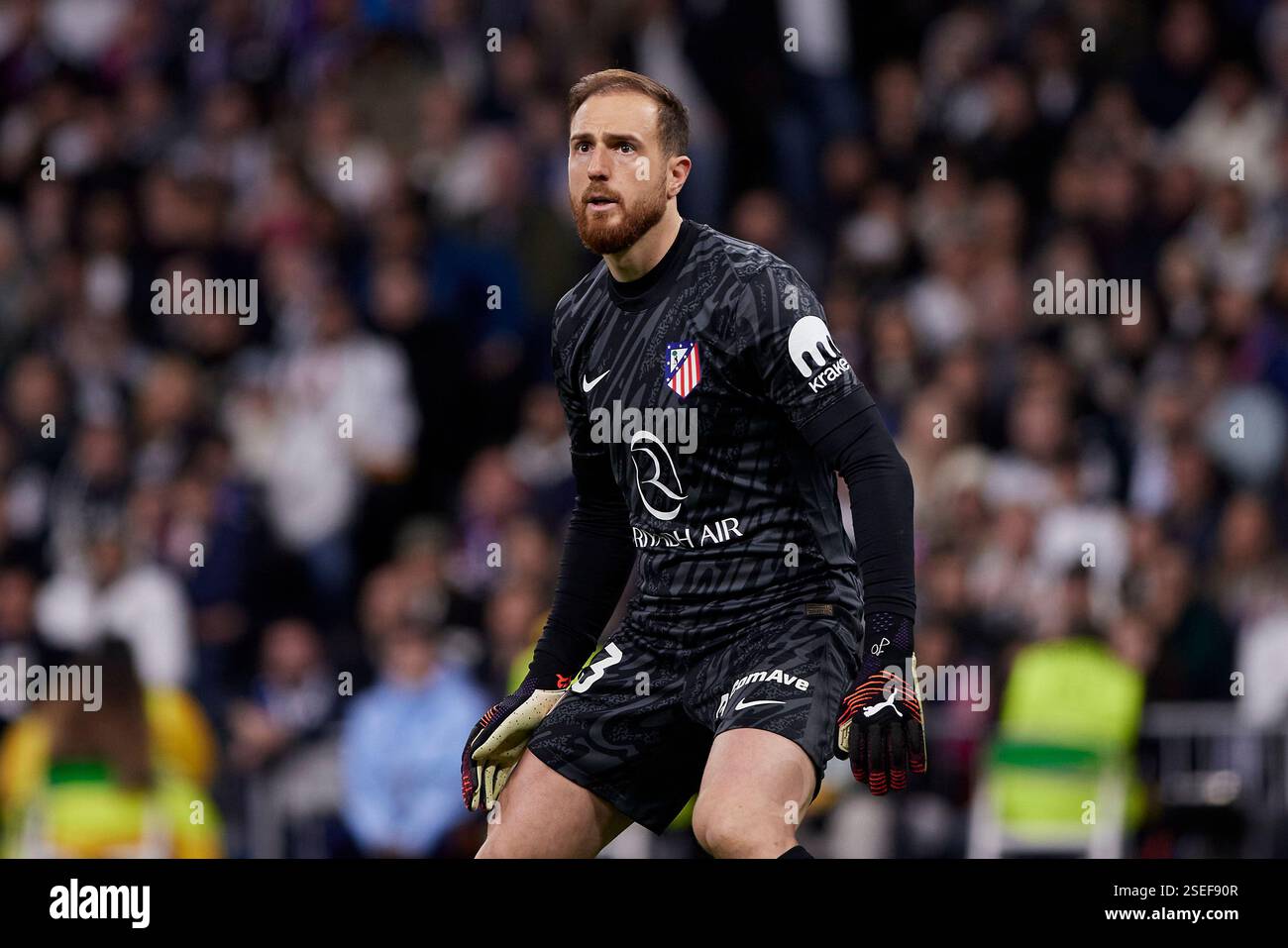 Madrid, Madrid, Spanien. Februar 2025. Jan Oblak von Atletico de Madrid während des Fußballspiels La Liga zwischen Real Madrid CF gegen Atletico de Madrid im Santiago Bernabeu Stadion in Madrid, Spanien, 8. februar 2025 (Bild: © Ruben Albarran/ZUMA Press Wire) NUR ZUR REDAKTIONELLEN VERWENDUNG! Nicht für kommerzielle ZWECKE! Quelle: ZUMA Press, Inc./Alamy Live News Stockfoto
