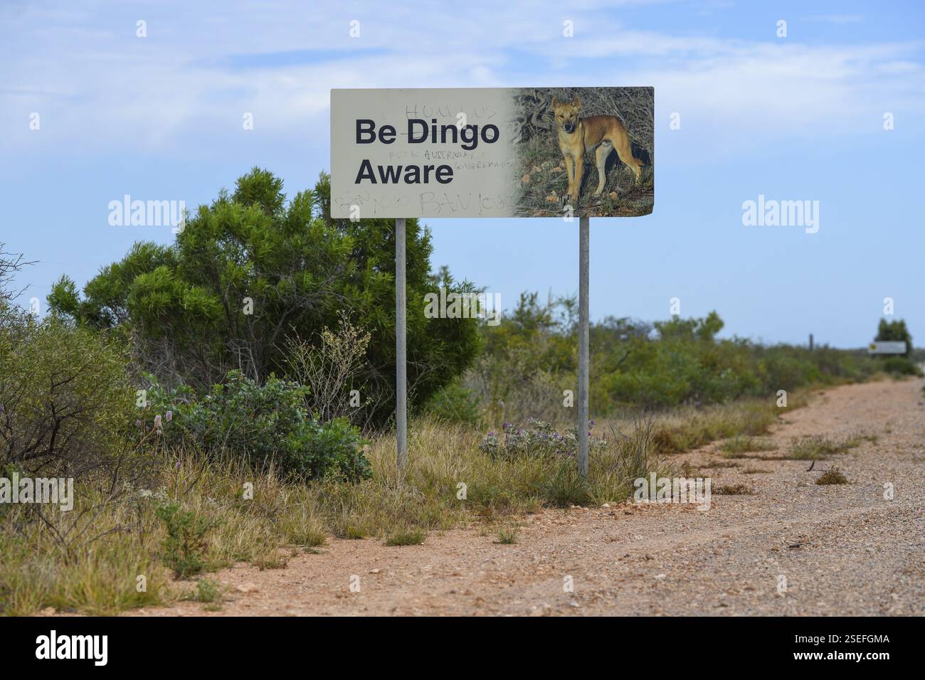 Achten Sie auf das Dingos-Schild in der Nähe von Exmouth, Bundesstaat Western Australia, Australien, Ozeanien Stockfoto