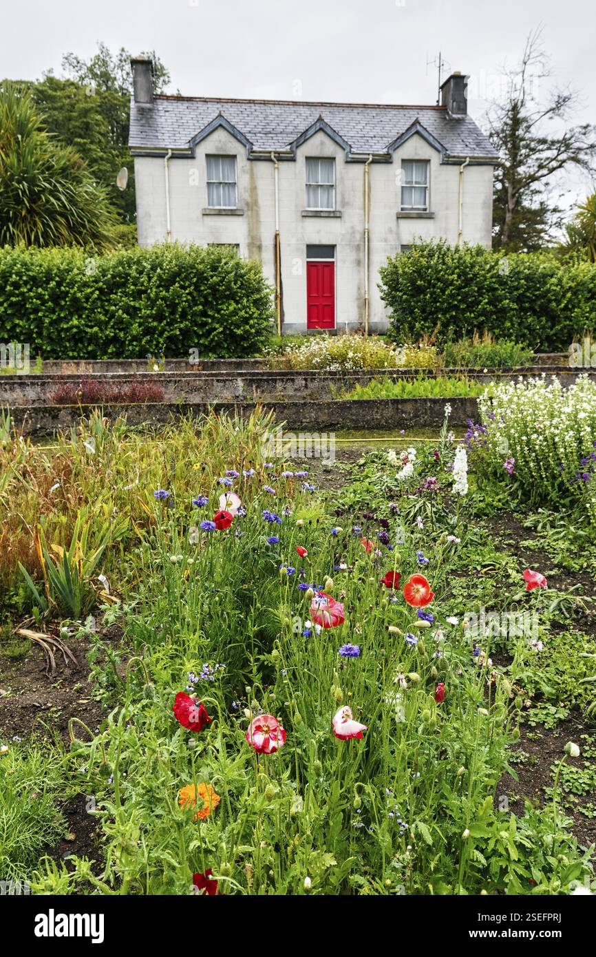 Blumenwiese, Mount Congreve Gardens, Gärten, County Waterford, Irland, Europa Stockfoto