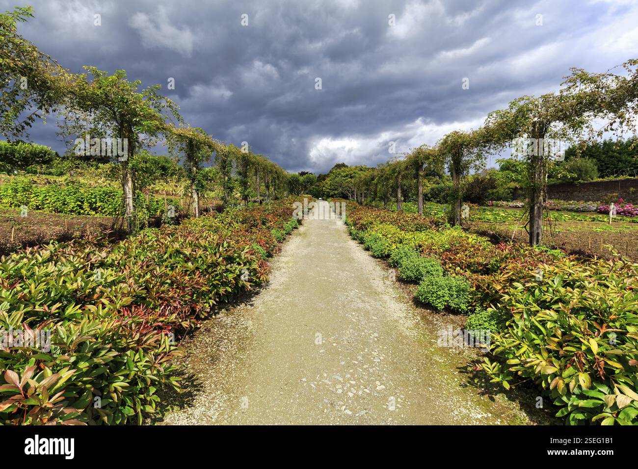 Fußweg, Mount Congreve Gardens, Gärten, County Waterford, Irland, Europa Stockfoto