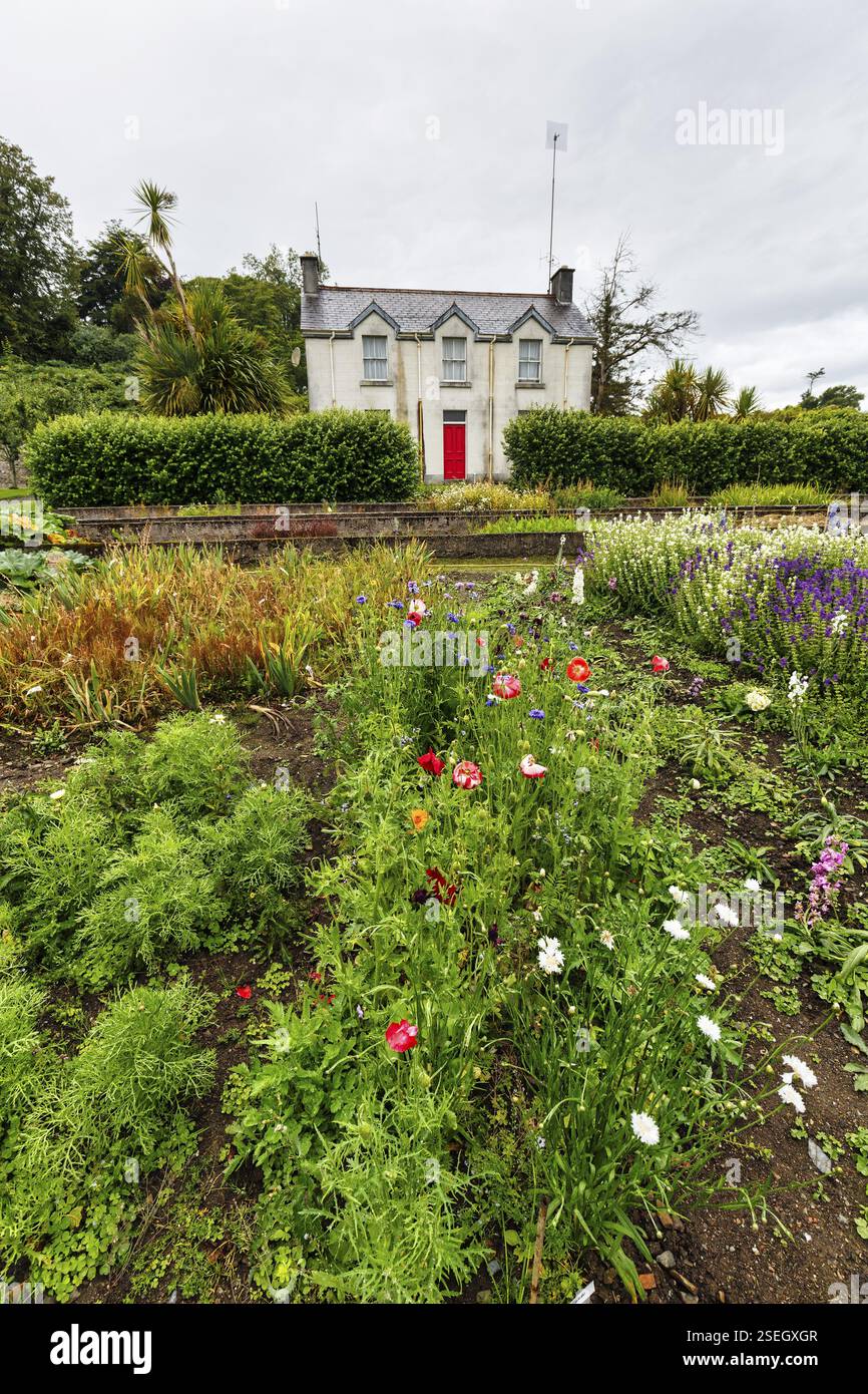 Blumenwiese, Mount Congreve Gardens, Gärten, County Waterford, Irland, Europa Stockfoto
