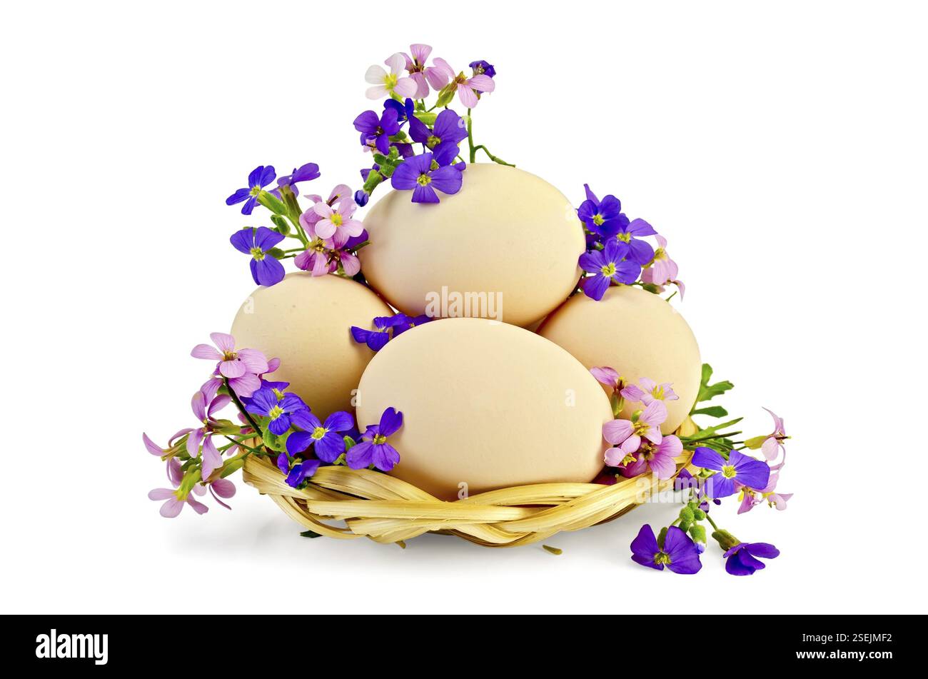 Hühnereier in einem Korbtablett mit rosa und violetten Blüten auf weißem Hintergrund Stockfoto