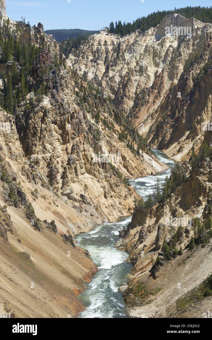 Yellowstone River im Grand Canyon von Yellowstone, Yellowstone National Park, Wyoming, USA, Nordamerika Stockfoto