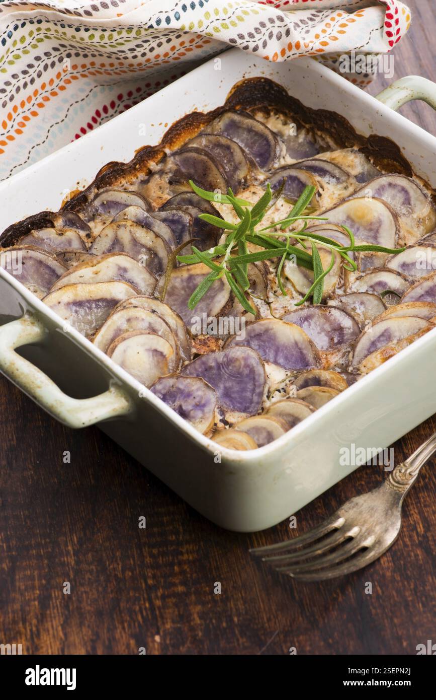 Violettes Kartoffelgratin mit Creme und Rosmarin Stockfoto