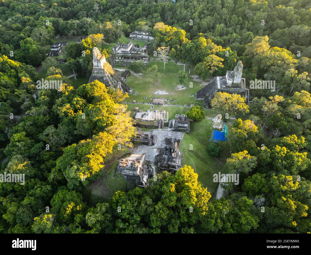 Große Plaza, Tikal, Guatemala Stockfoto