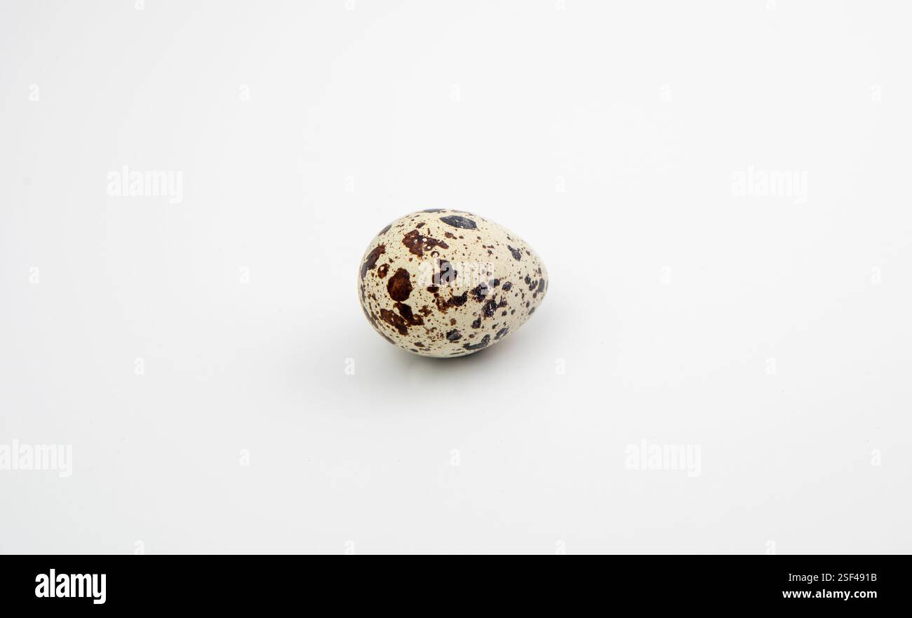 Die Eier der Wachteln (Coturnix coturnix) auf weißem Hintergrund. Stockfoto