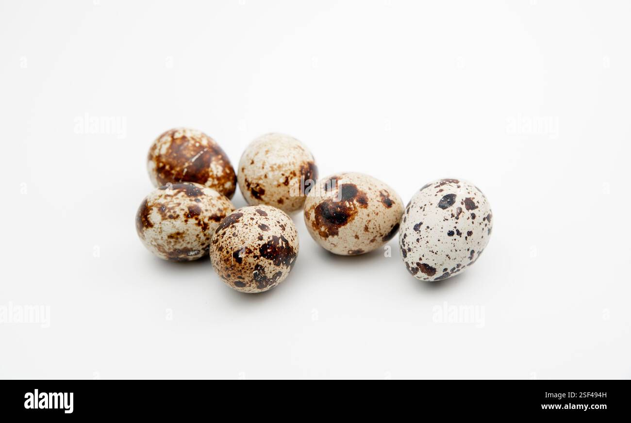 Die Eier der Wachteln (Coturnix coturnix) auf weißem Hintergrund. Stockfoto
