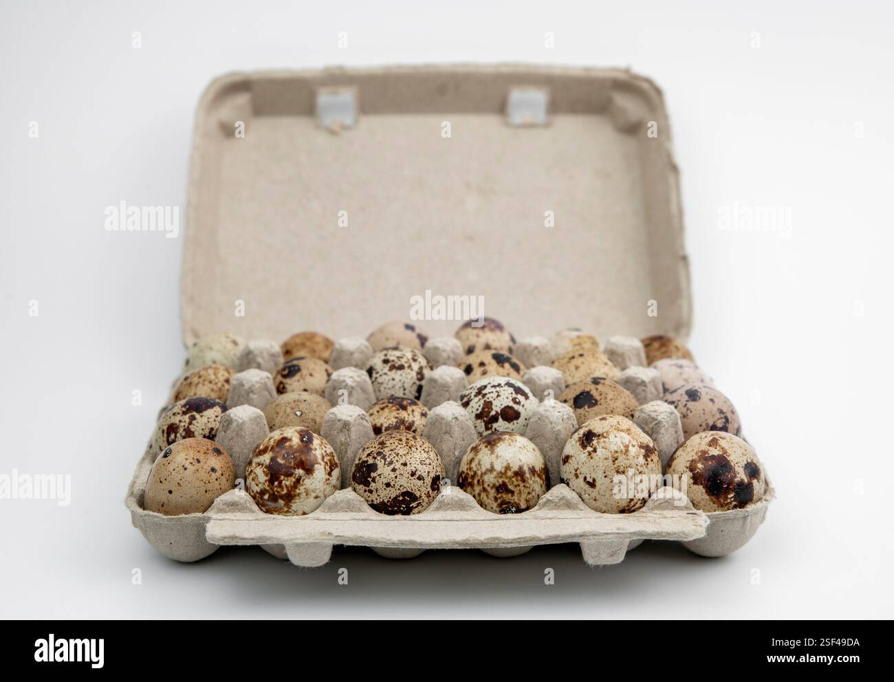 Die Eier der Wachteln (Coturnix coturnix) auf weißem Hintergrund. Stockfoto