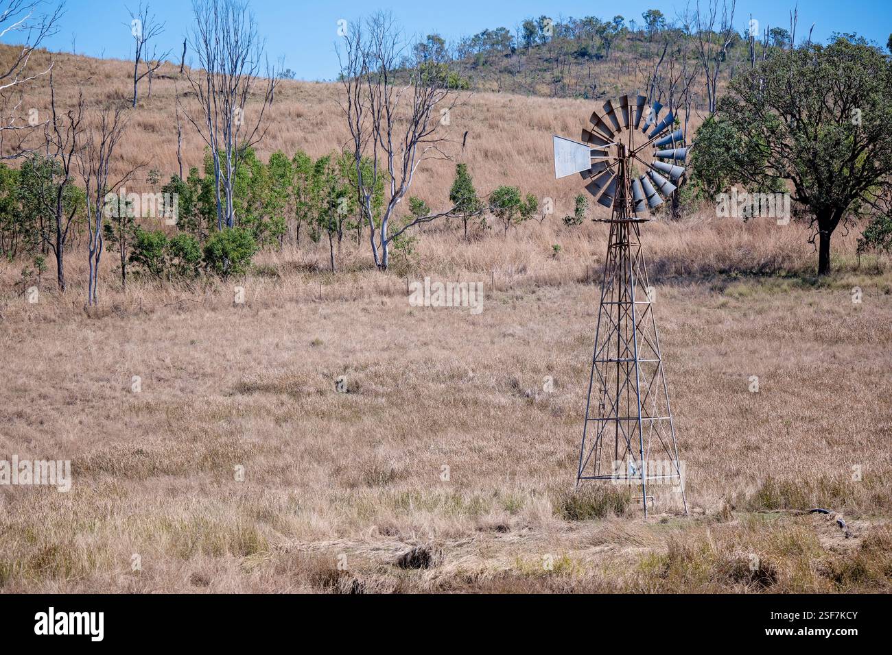 Windmühle im Outback-Paddock, Queensland, Australien, ländliche landschaftliche Landschaft, Trockenwasserschutz, raue heiße, trockene Umgebung Stockfoto