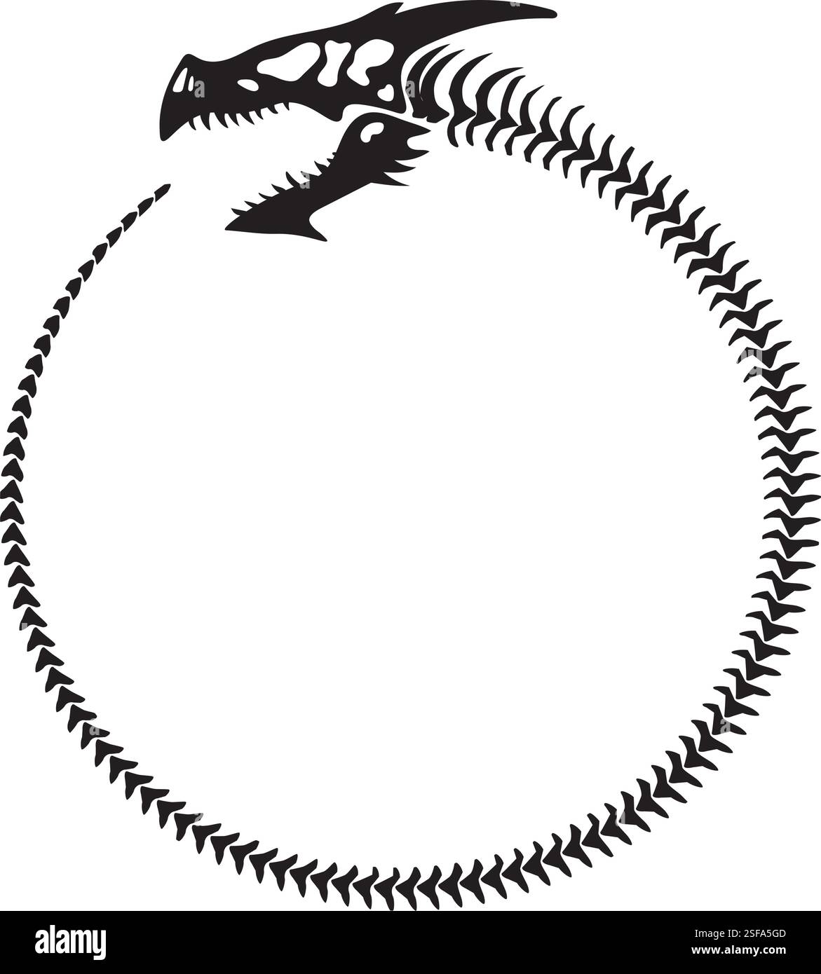 Skelett eines Drachen, angeordnet als Ouroboros, das Wiedergeburt und ewiges Leben symbolisiert Stock Vektor
