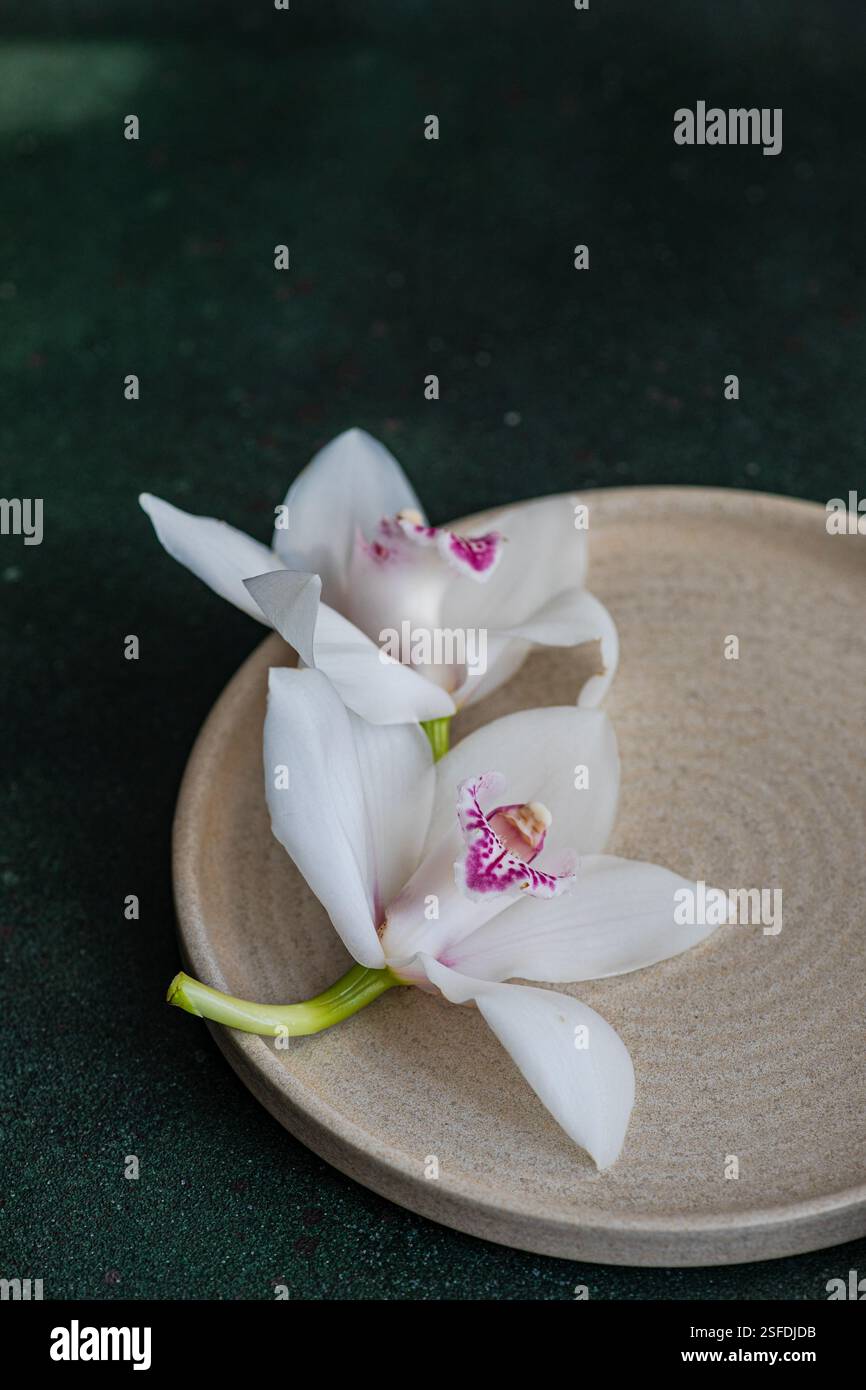 Nahaufnahme zweier frischer weißer Orchideenblüten auf einer Keramikplatte Stockfoto