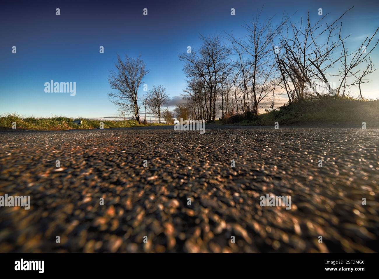 Nahaufnahme einer Straße durch Waldlandschaft, Marengo, Alessandria, Piemont, Italien Stockfoto