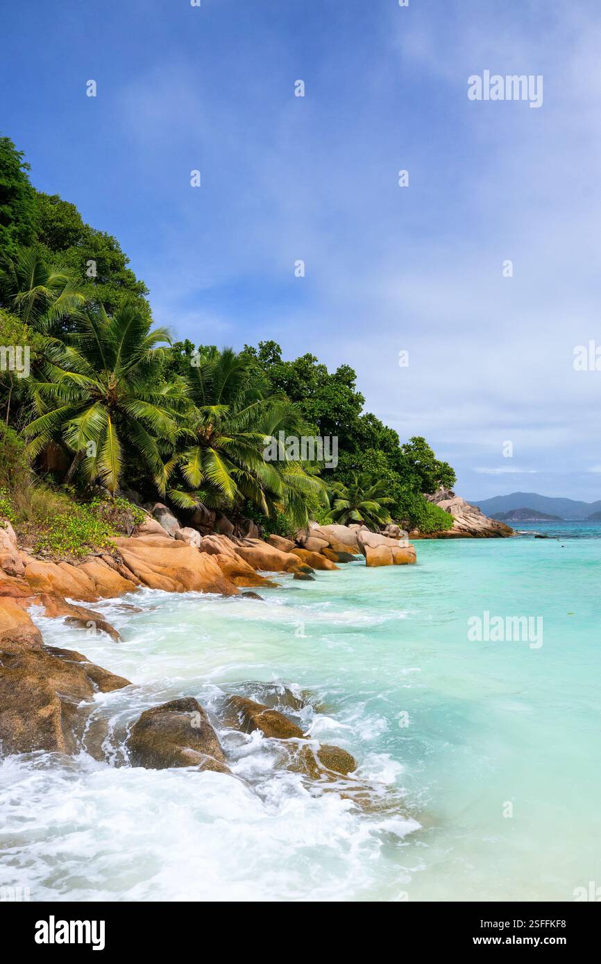 Eine malerische tropische Küste auf La Digue, Seychellen, mit üppigen Palmen und felsigen Formationen am türkisfarbenen Wasser Stockfoto