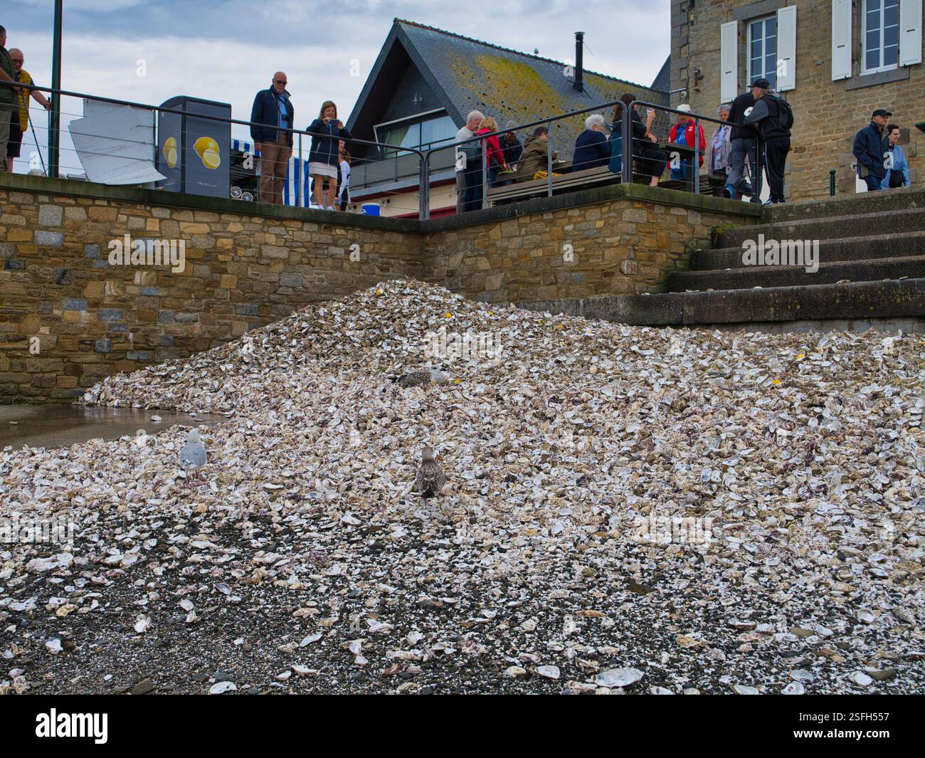 Cancale, Frankreich - 5. September 2024: Ein Haufen von Austernmuscheln am Strand von Cancale an der bretonischen Küste in Nordfrankreich. Die Schalen sind Disca Stockfoto