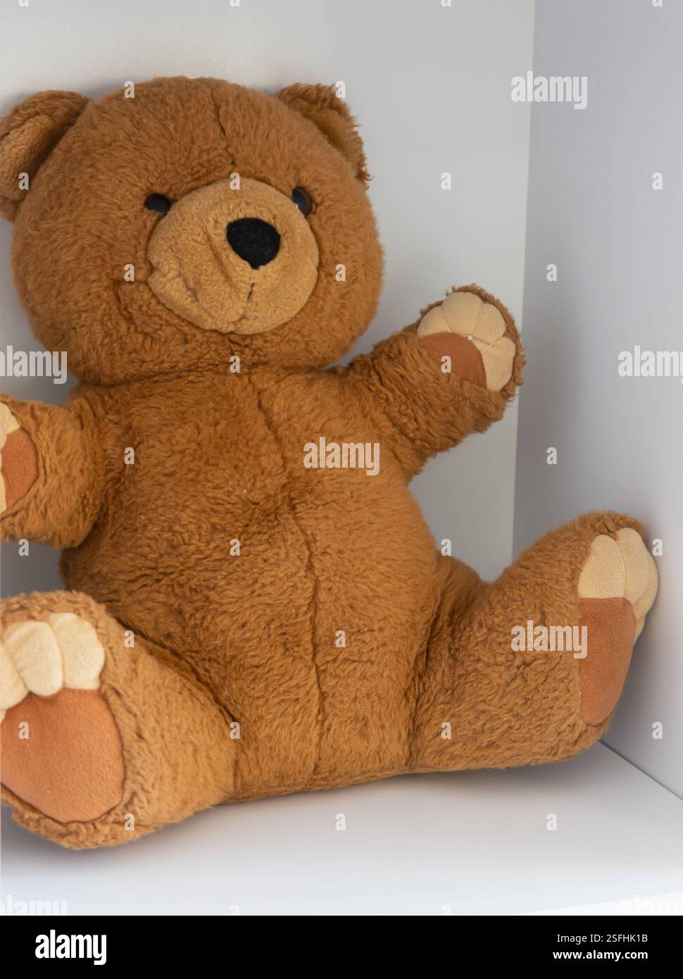 Ein flauschiger Braunbär mit freundlichem Ausdruck sitzt bequem auf einem weißen Regal und bringt Wärme und Charme in die gemütliche Ecke eines Kinderzimmers. Stockfoto