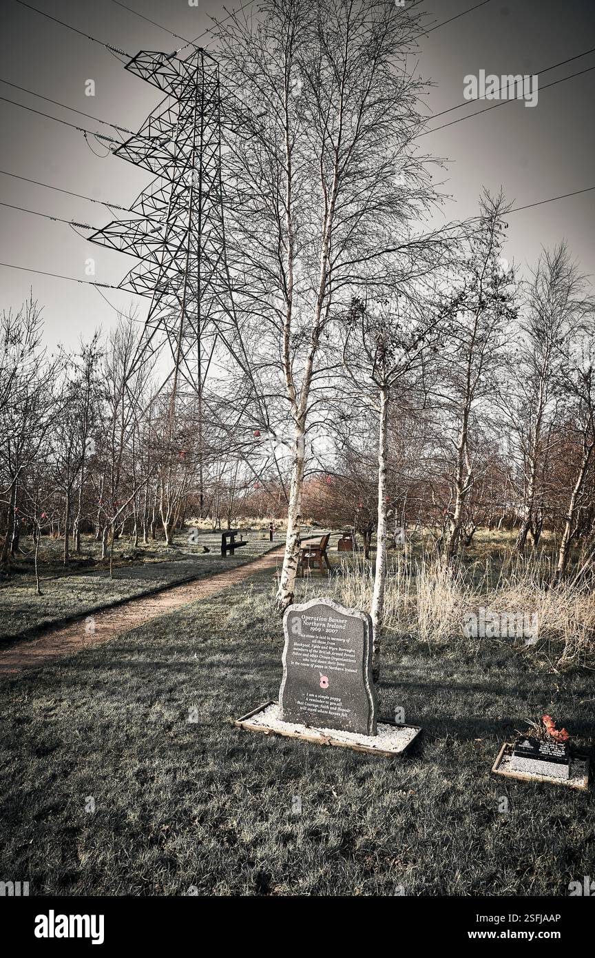 Fylde Memorial Arboretum und Gemeindewald. Stockfoto