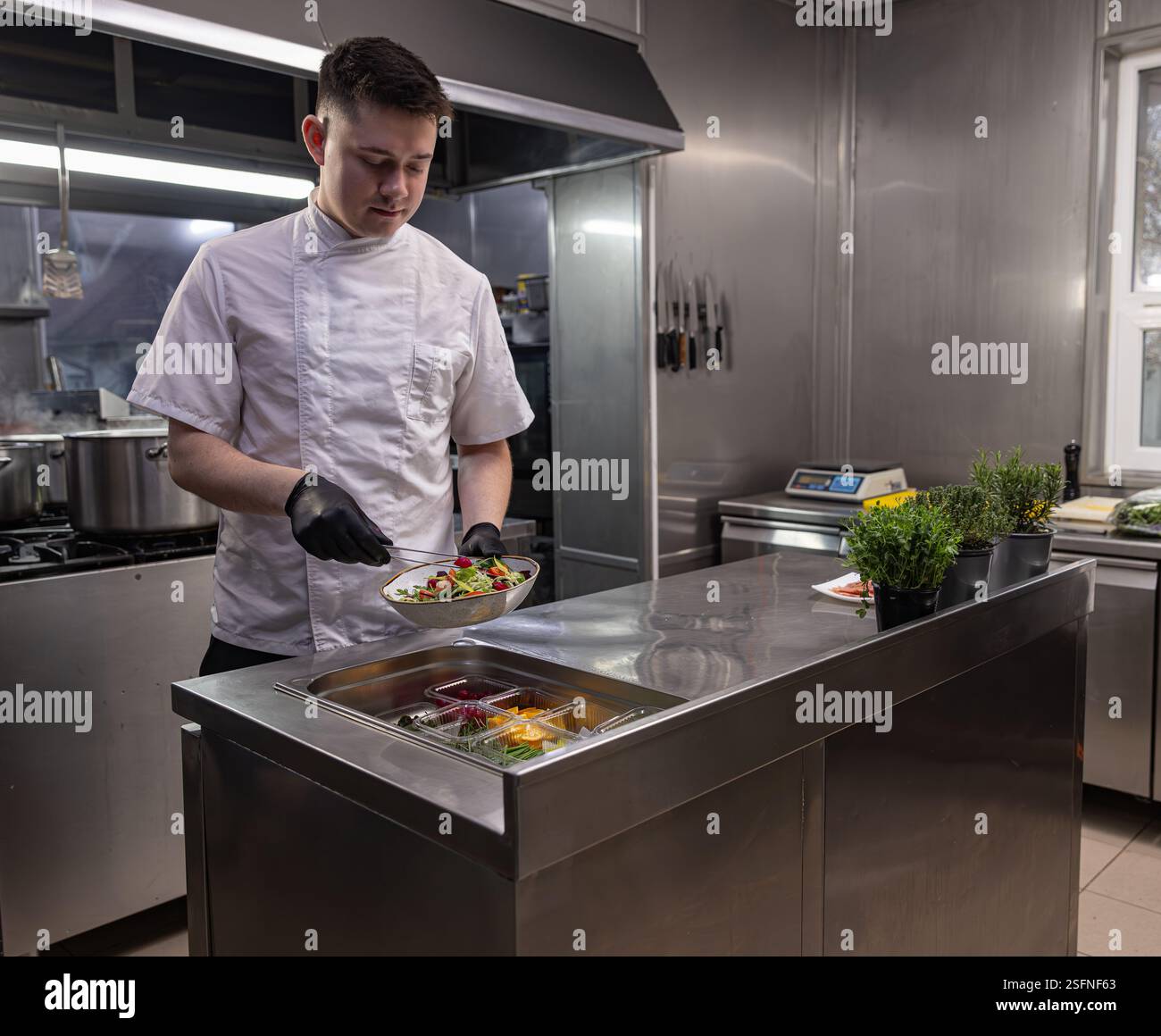 Junger Koch mit Zange und Halteplatte mit frischem Salat über Behältern mit Zutaten in der Restaurantküche Stockfoto