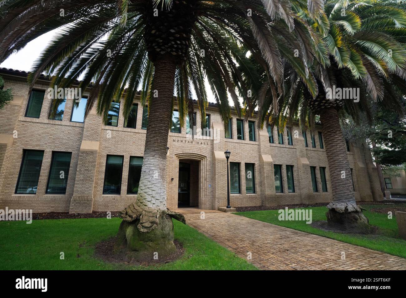 Monta Hall, ein historisches Backsteingebäude in Stanford, steht unter Palmen. Kalifornien. Stockfoto