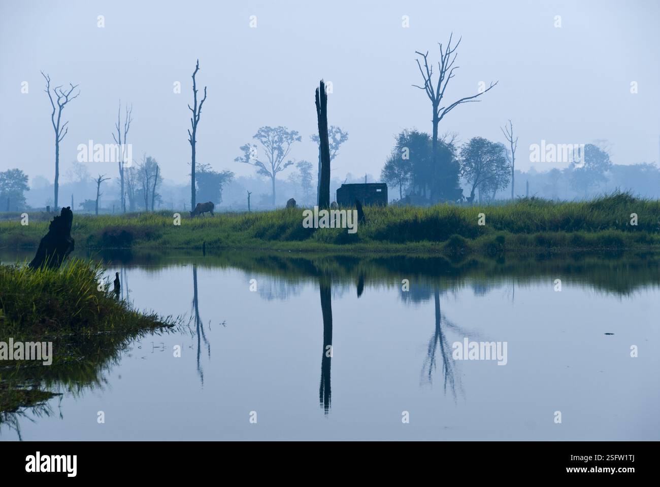 Von Pol Pots Haus (kambodschanischer Diktator) an einem See in Anlong Veng, Kambodscha, sind nur noch wenige Mauern erhalten. Stockfoto